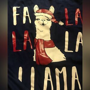 Merry wear size medium lama Christmas shirt like new excellent condition